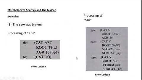 Morphological Analysis and Lexicon