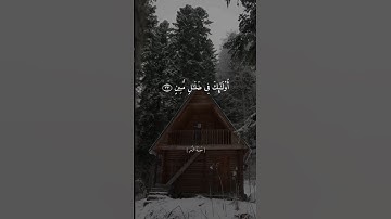 افمن شرح الله صدره للاسلام || القارئ ياسر الدوسري || حالات واتس اب || ستوريات ||🥺🤍.