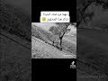 مهما مردغتك الحياة تذكر هذا المخلوق😇
