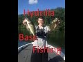 Bass fishing Hydrilla edges with GY Senkos