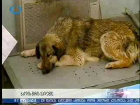 27 04 2017   ტელეკომპანია იბერია  ახალი ამბები 19 00 იბერია ტვ