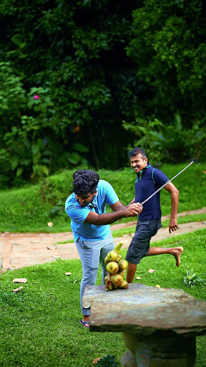 Everything Looks Funnier in SLOW MO! 😂🐢🎥