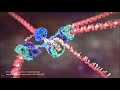 Jordan Peterson shows you a video of DNA fixing itself