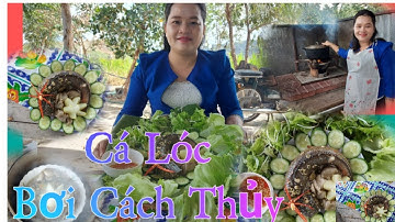 Cá Lóc Hấp Cách Thủy | Steamed Snakehead Fish | Ẩm Thực ia Pa Kim Tươi