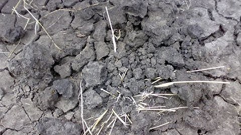 How To Build Foundation In Black Cotton Soil #BlackCottonSoil #GroundBeams #FoundationConstruction