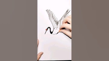 how to draw a crane | #cranebird #crane #drawing #shorts