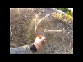 Epic shed hunt: Epic shed hunt: