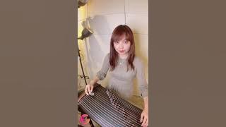 Lemon tree/檸檬樹