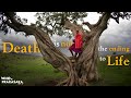 Death is not the ending to life  short documentary