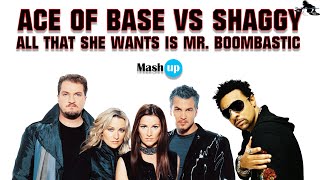 Ace of base Vs Shaggy - All that she wants is Mr.  Boombastic - Paolo Monti mashup 2023 Resimi