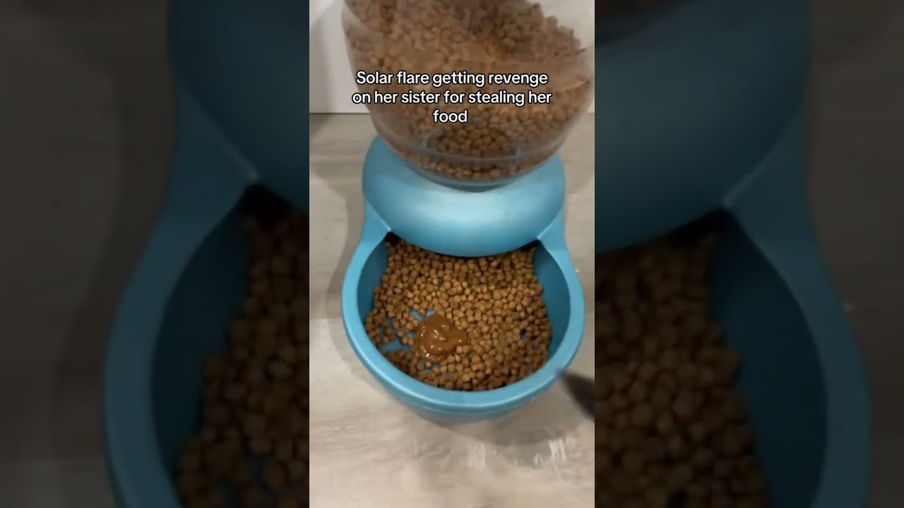 WHYYYYY