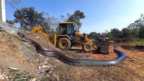 JCB 3dx xpert loading mud In Mahindra 475 JCB miti Khudai JCB miti Khudai JCB video #jcb #jcbcarton