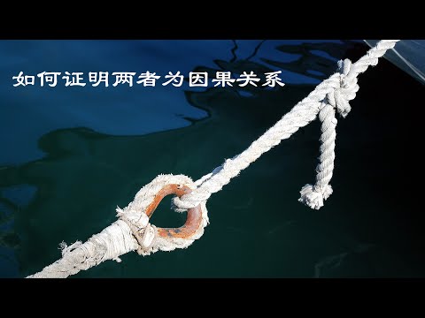 如何证明两者具有因果关系