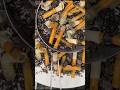 『食べれるシケモク』Edible cigarette butts #topo #シュウマイの皮 #ごましお #nierautomata #2b