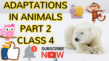 Science class 4 Ch 3 Adaptations in animals...Part 2