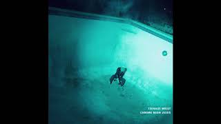 Teenage Wrist - Stoned, Alone