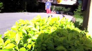 Funny Throwaway Test Shots