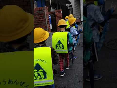 Video: Kedy začína škola v Japonsku?