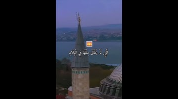 القران الكريم ( سورة الفجر ) ❤️ بصوت الشيخ ياسر الدوسري 🍃