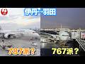 【JAL国内線】787と767、どっちが好き？｜伊丹↔羽田 往復の実感