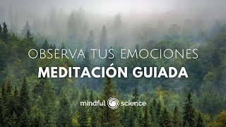 Observa tus Emociones Aquieta Tu Mente Vive en Paz  Meditación Guiada Mindful Science