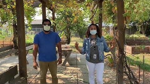 Toolbox: Breathing Tool