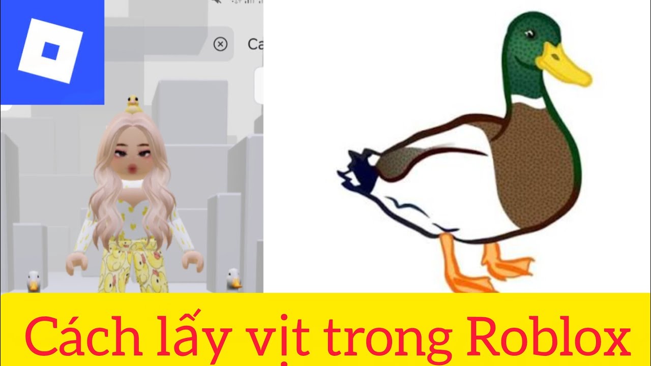 Cách lấy vịt trong Roblox