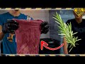 Using House Plants to Dye Your Clothes (Debunking Viral Videos)