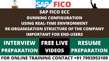 SAP FICO ECC, DUNNING CONFIGURATIONS WITH REAL-TIME ORGANIZATION STRUCTURE, IMPORTANT FOR END-USER