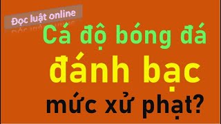 Quy định về cá độ bóng đá, tội đánh bạc và mức xử lý, hình phạt tại Việt Nam