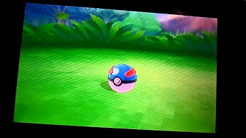 Shiny Zangoose in 150 DexNav Encounters on Pokemon Omega Ruby