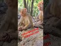 ЁЯдгЁЯдгЁЯШБЁЯдг Rafiqalikhaskheli72 Gmail Com ЁЯЪйтЬМя П ЁЯдгЁЯдгЁЯШБЁЯдг Rafiqalikhaskheli72 Gmail Com ЁЯЪйтЬМя П