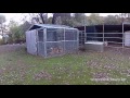 Coyote By Chicken Enclosures