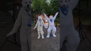 two wolves had some fun