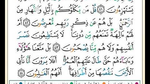ختمة تلاوة لمصحف التجويد بصوت القارئ محمد حبش الصفحة رقم 325