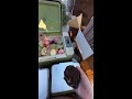 Mochi -Chinese Street Food Live 2026-04-24 14:48:49