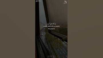 #ماهر_المعيقلي ومن يتق الله يجعله له مخرجا سورة الطلاق .
