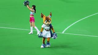 20180324 ファイターズ讃歌で白井コーチを懐かしく思うポリーちゃん@札幌 20180324 ファイターズ讃歌で白井コーチを懐かしく思うポリーちゃん@札幌