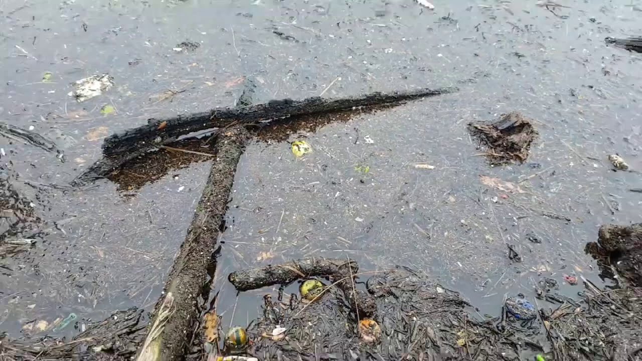 Ютуб Элла Австралия Новые Видео 2022 Года Ютуб Элла Австралия Новые Видео 2022 Года