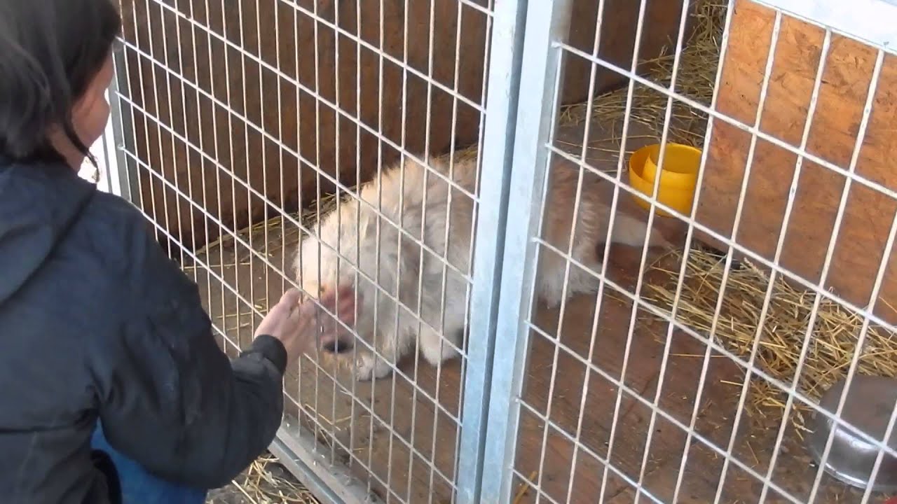 DSCN4735 - YouTube