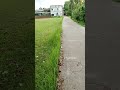 কালবৈশাখী ঝড় #shorts #viral