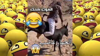 ضحك حتى الموت مقاطع مضحكة جديد 2022