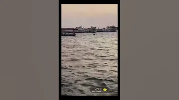 يابحر الوليد ال عامر تصويري 
