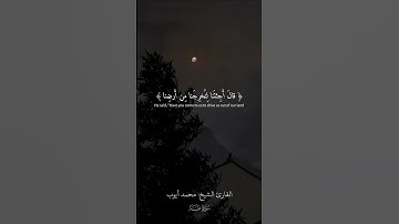 اجمل تلاوات الشيخ محمد ايوب🌿راحه نفسيه♥#محمد_ايوب #ولقد_اريناه_اياتنا_كلها_فكذب_وابى✨♥️ #fyp #أجر