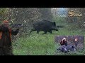 Wild boar driven hunt in Croatia -New season 2017. - Drückjagd  in Kroatien