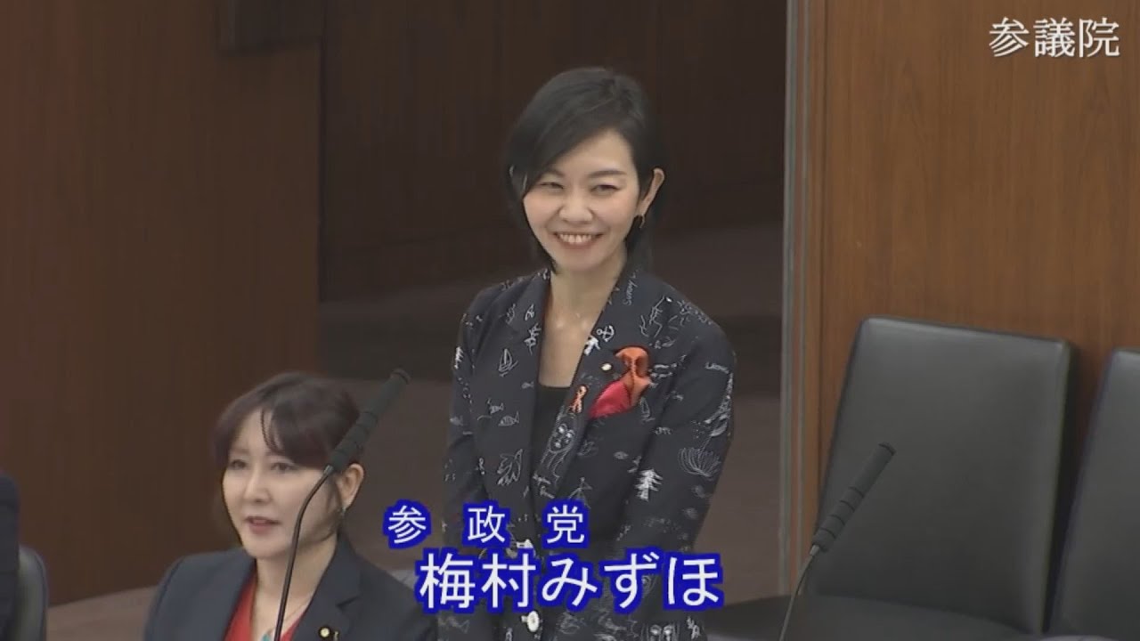 2025.11.20 厚生労働委員会・質疑　梅村みずほ