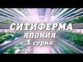 СИТИФЕРМА | Япония | 1 серия #211