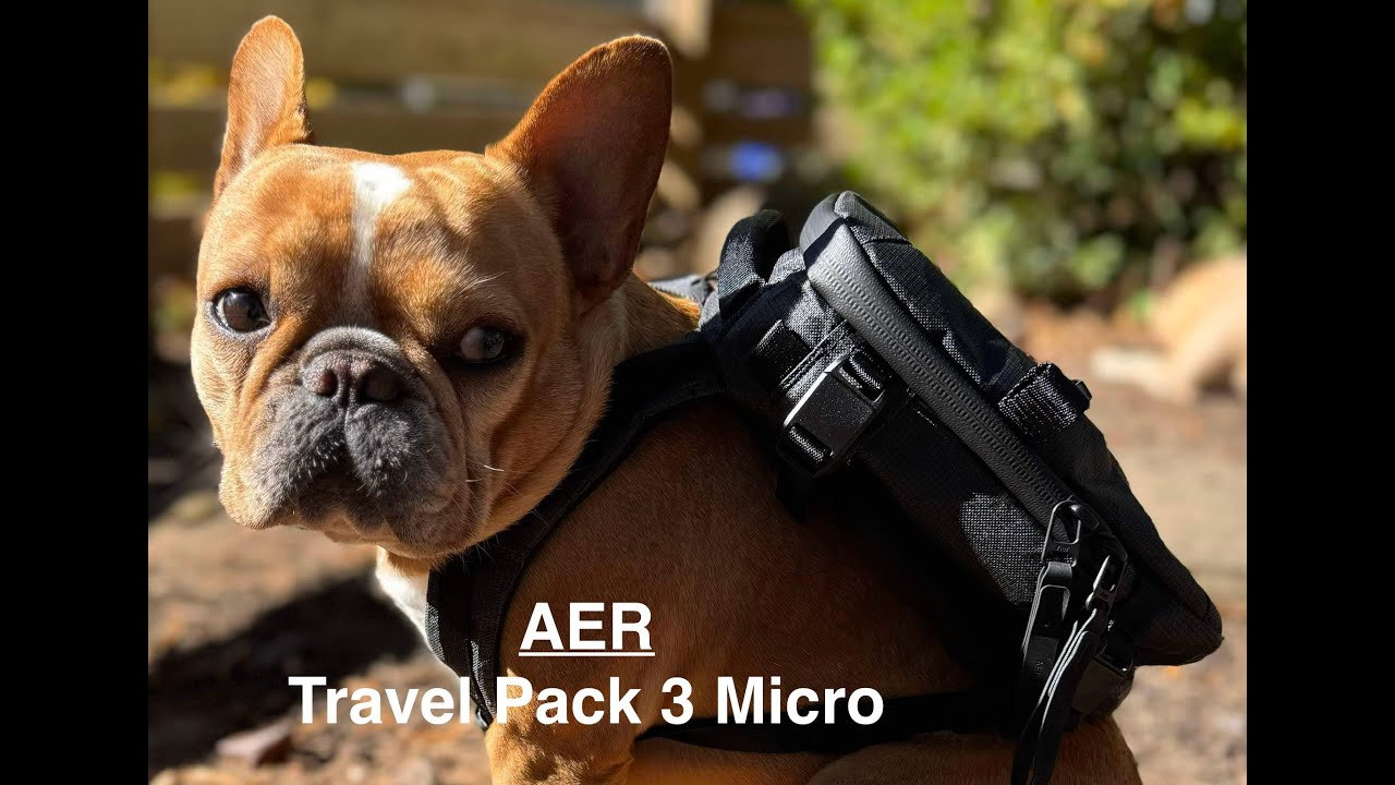 Micro Review: Aer Travel Pack 3 Micro (Ultra) - YouTube