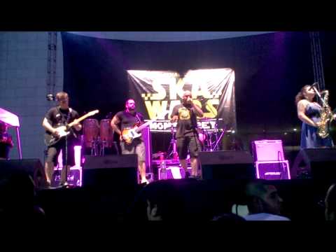Hub City Stompers - Latina Rose