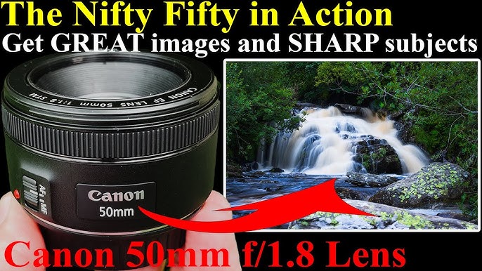 Canon RF 50mm F/1.8 STM review: It's everything a nifty fifty should be